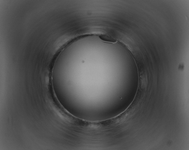 X0000093570350200710221448