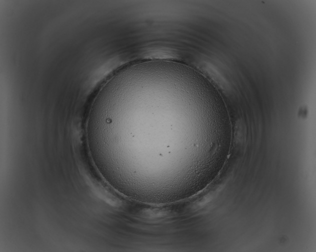 X0000093570351200710221448