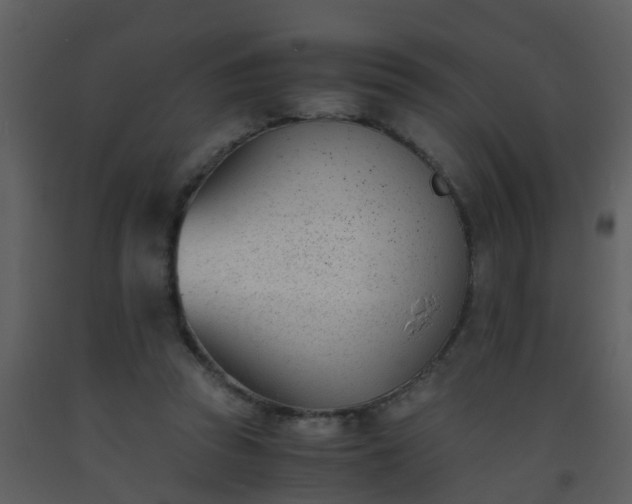 X0000093570353200710221448