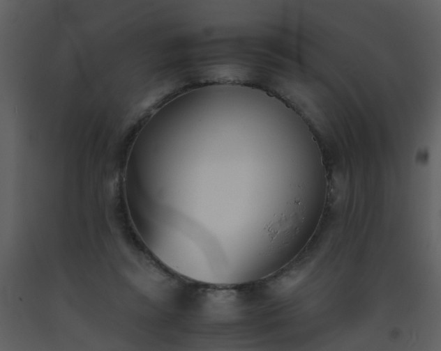 X0000093570355200710221448