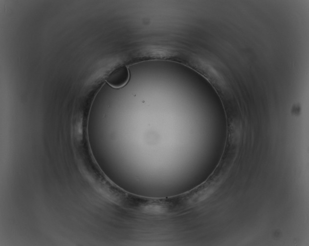 X0000093570358200710221448