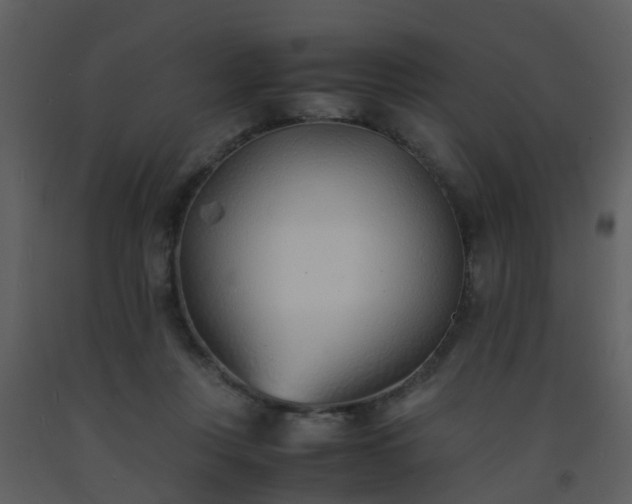 X0000093570359200710221448