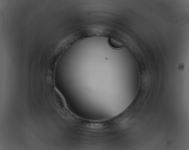 X0000093570361200710221448