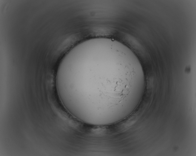 X0000093570362200710221448