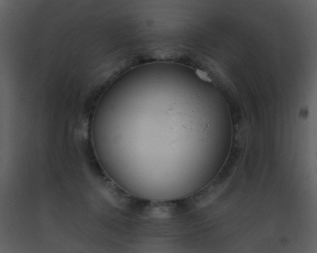 X0000093570368200710221448