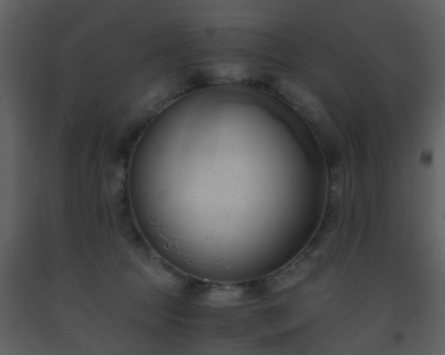 X0000093570369200710221448
