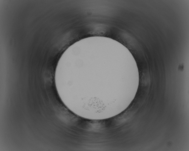 X0000093570370200710221448