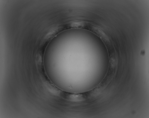X0000093570375200710221448
