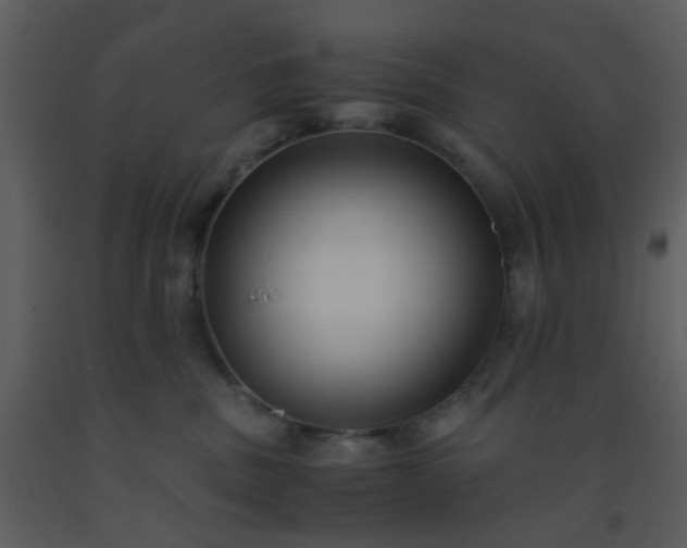X0000093570379200710221448