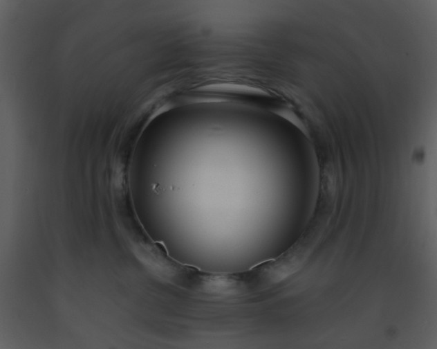 X0000093570380200710221448