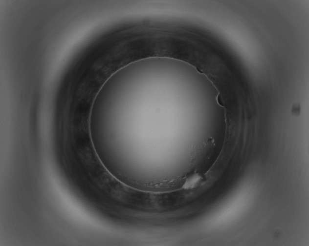 X0000093570383200710221449