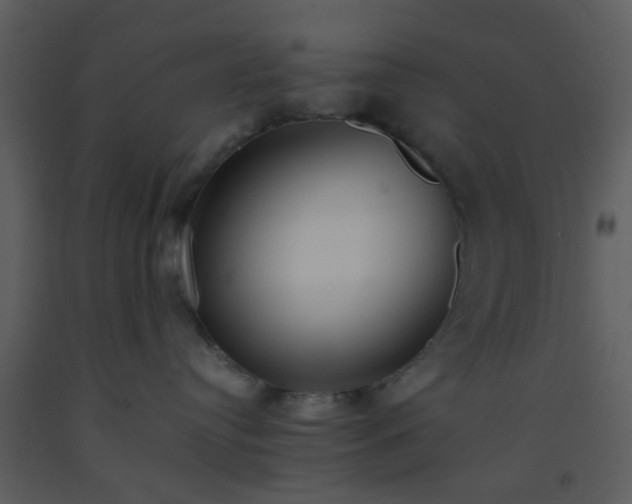X0000093570384200710221449