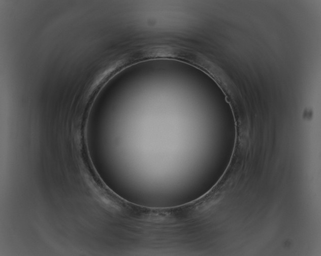 X0000093570386200710221448