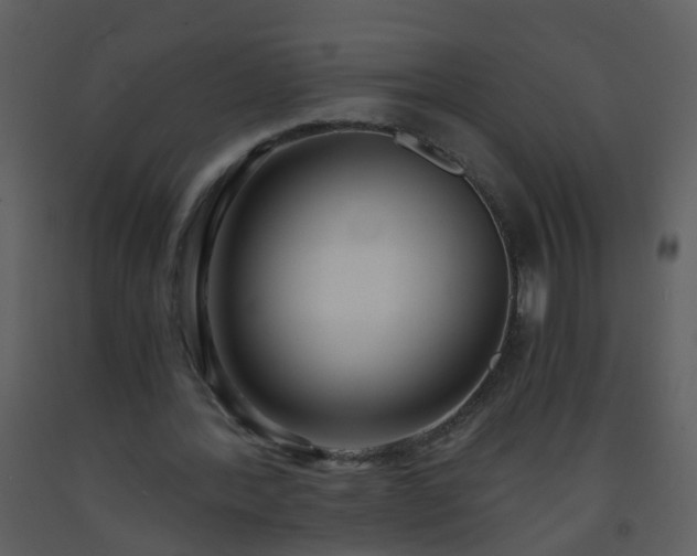 X0000093570388200710221448