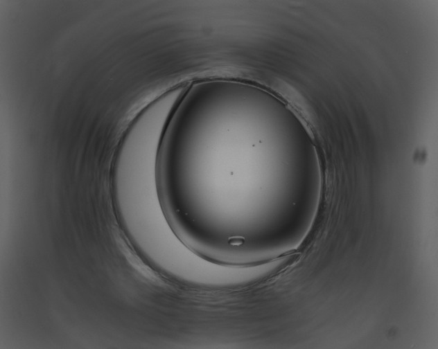 X0000093570389200710221448