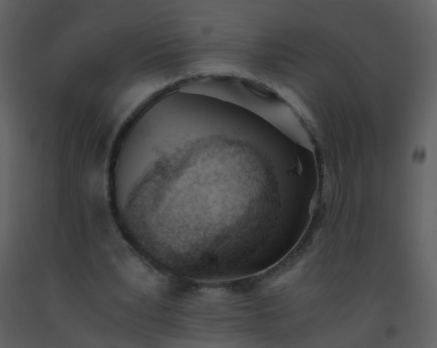 X0000093570391200710221448