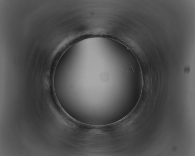 X0000093570392200710221448