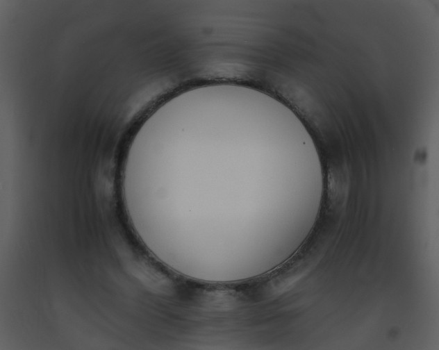 X0000093570396200710221448