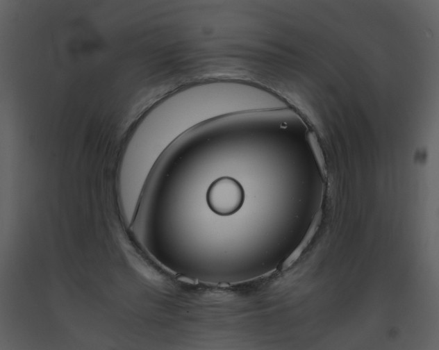X0000093570397200710221448