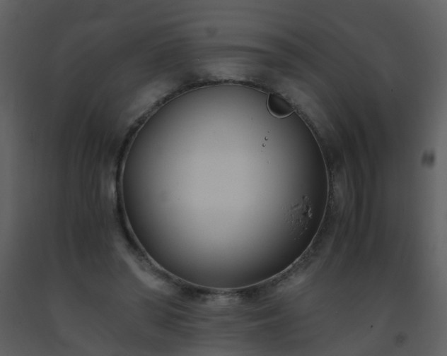 X0000093570398200710221448