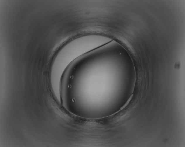 X0000093570399200710221448