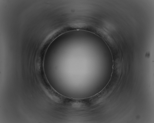 X0000093570400200710221448