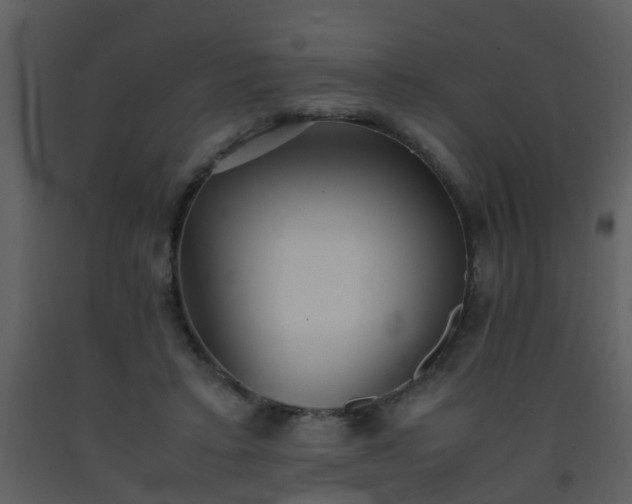 X0000093570403200710221448