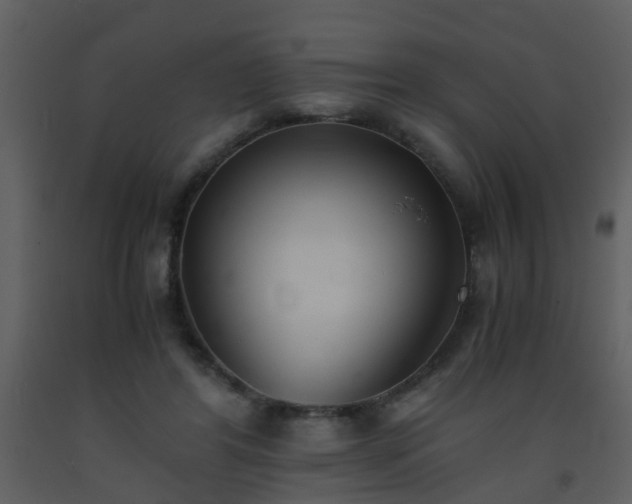 X0000093570404200710221448