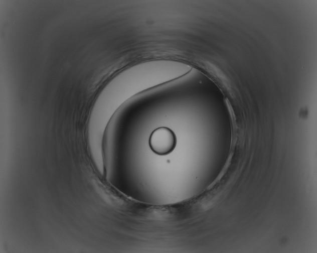 X0000093570405200710221447