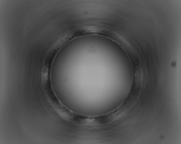X0000093570406200710221447
