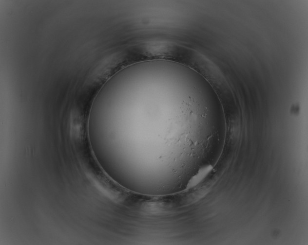 X0000093570408200710221447