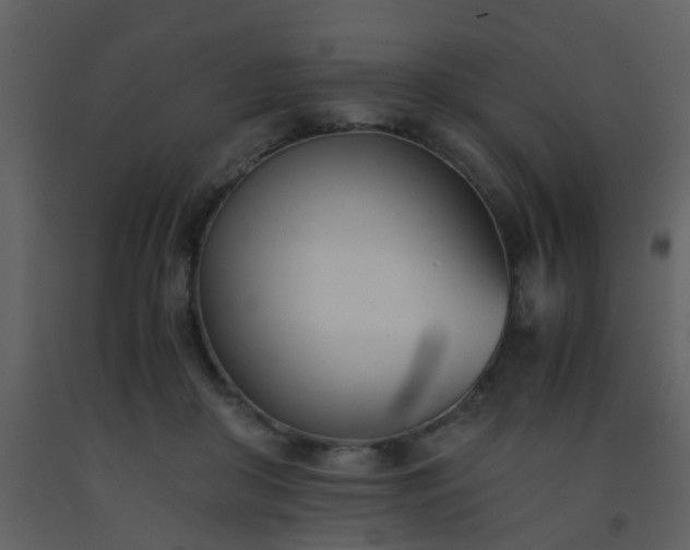 X0000093570410200710221447