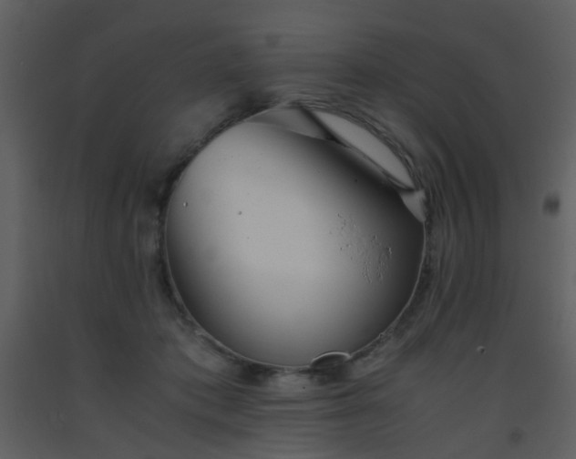 X0000093570413200710221447