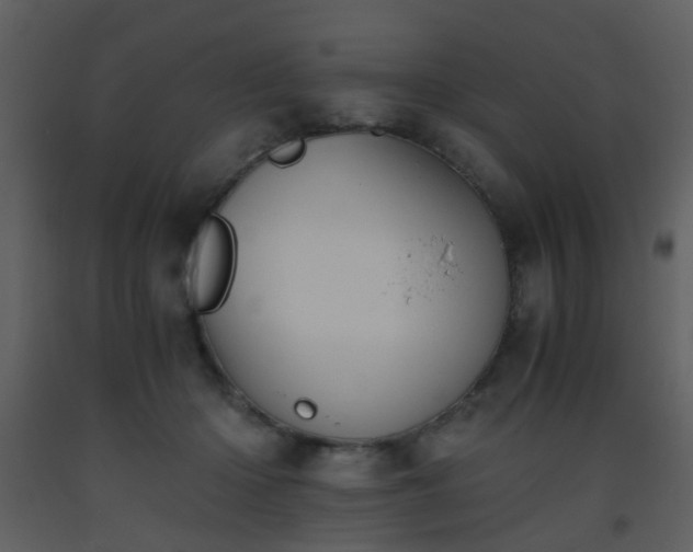 X0000093570414200710221447