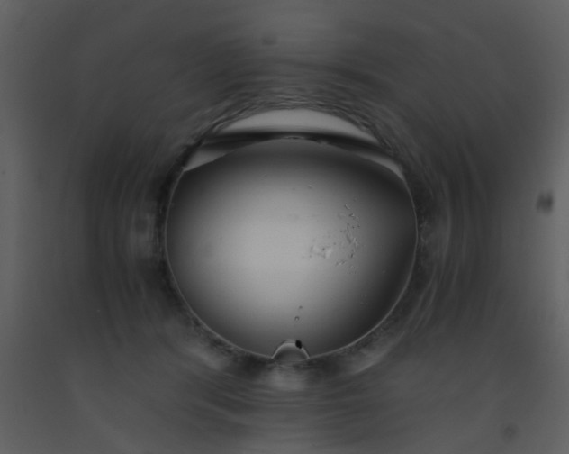 X0000093570416200710221447