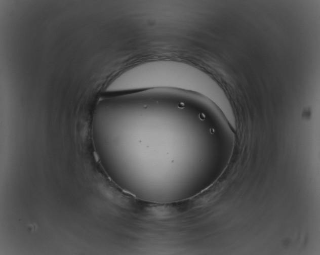 X0000093570417200710221447