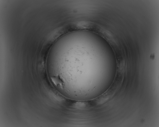 X0000093570418200710221447