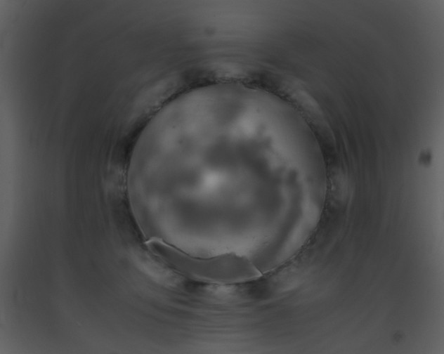 X0000093570419200710221447