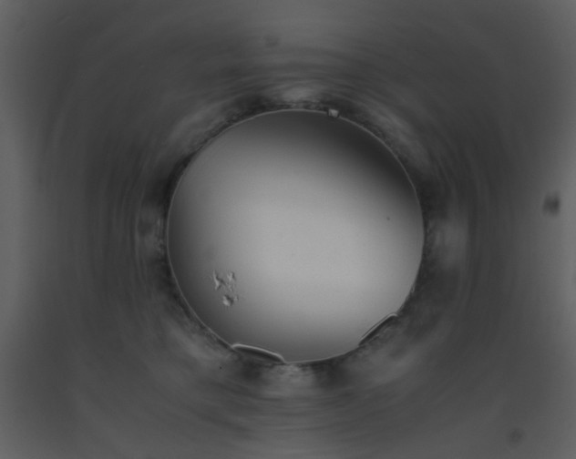 X0000093570421200710221447