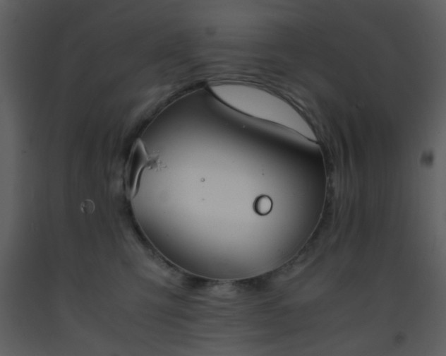 X0000093570423200710221447