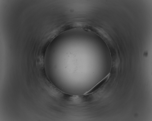X0000093570425200710221447