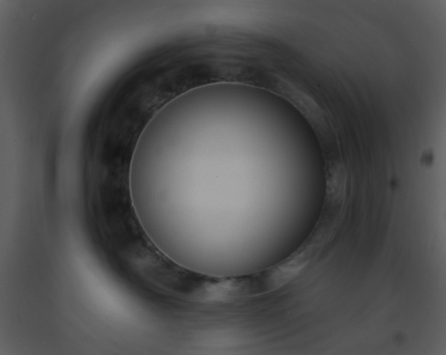 X0000093570430200710221447