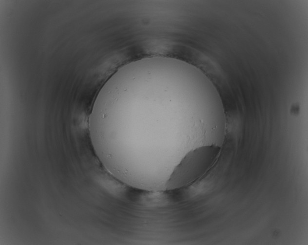 X0000093570431200710221447