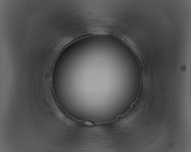 X0000093570433200710221446