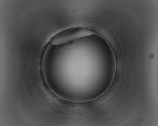 X0000093570434200710221446