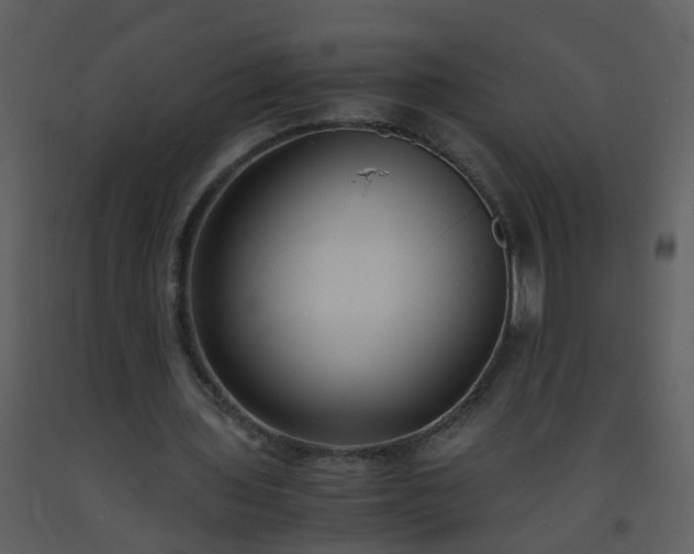 X0000093570435200710221446