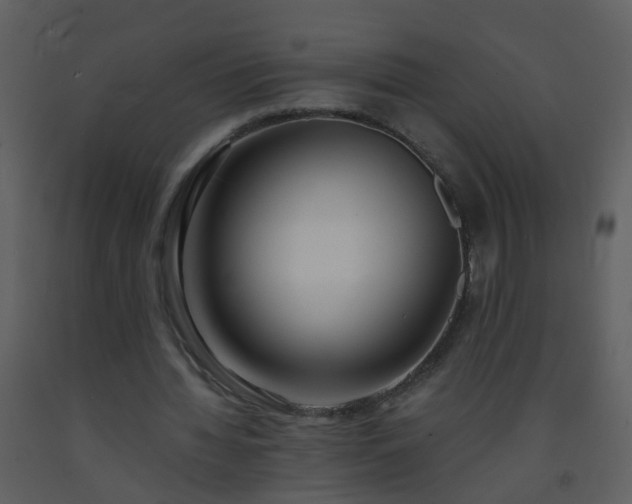 X0000093570436200710221446