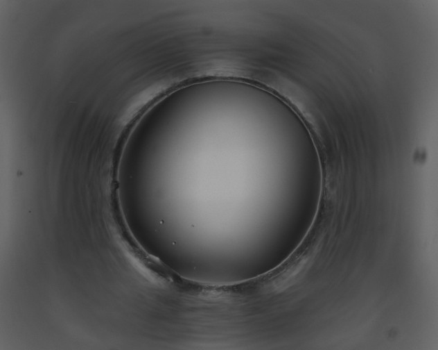 X0000093570437200710221446