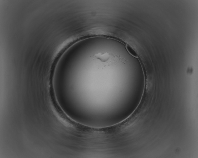X0000093570438200710221446