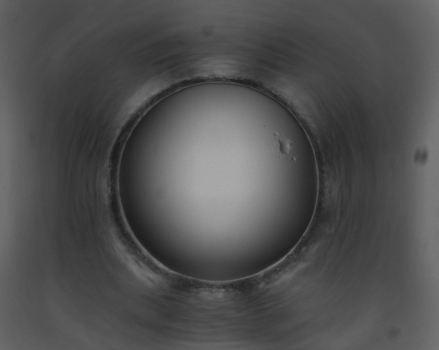 X0000093570439200710221446